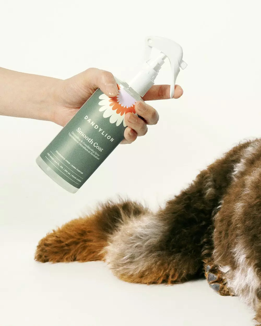 Dandylion Smooth Coat 250mL