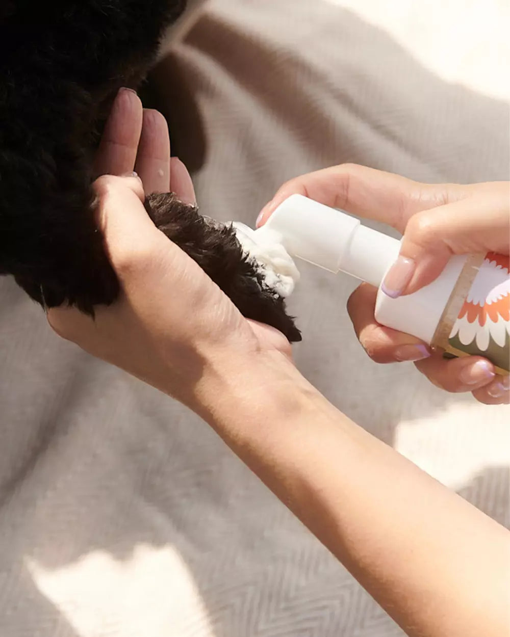 Dandylion Clean Paws 150mL