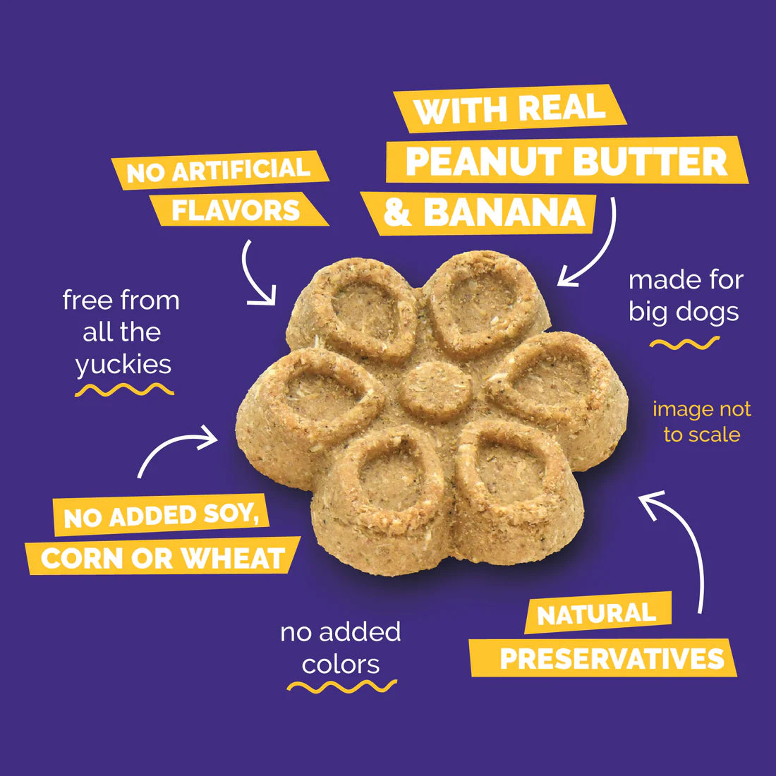 Fruitables BIGGIES With Real Peanut Butter & Banana Dog Treat 16 oz