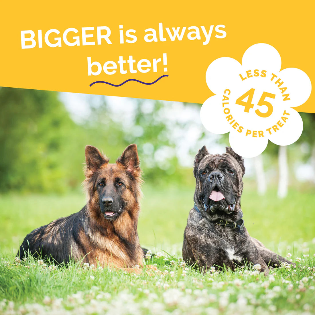 Fruitables BIGGIES With Real Peanut Butter & Banana Dog Treat 16 oz