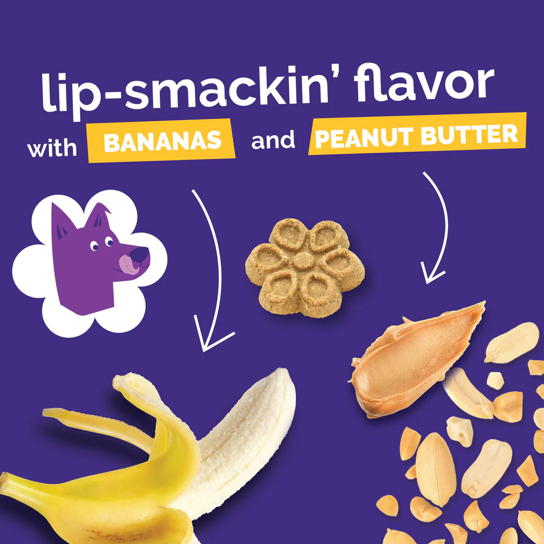 Fruitables BIGGIES With Real Peanut Butter & Banana Dog Treat 16 oz