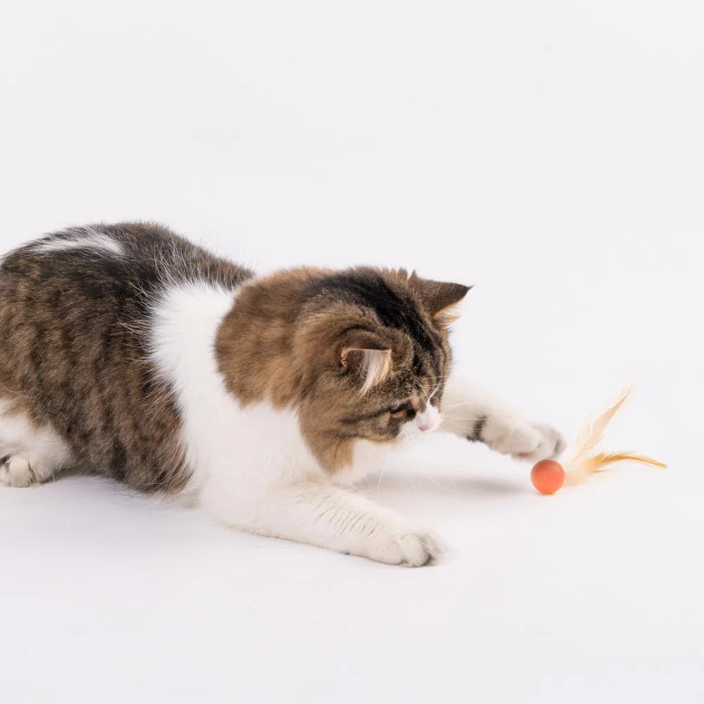 Pidan Bouncy Balls For Cats 3pcs