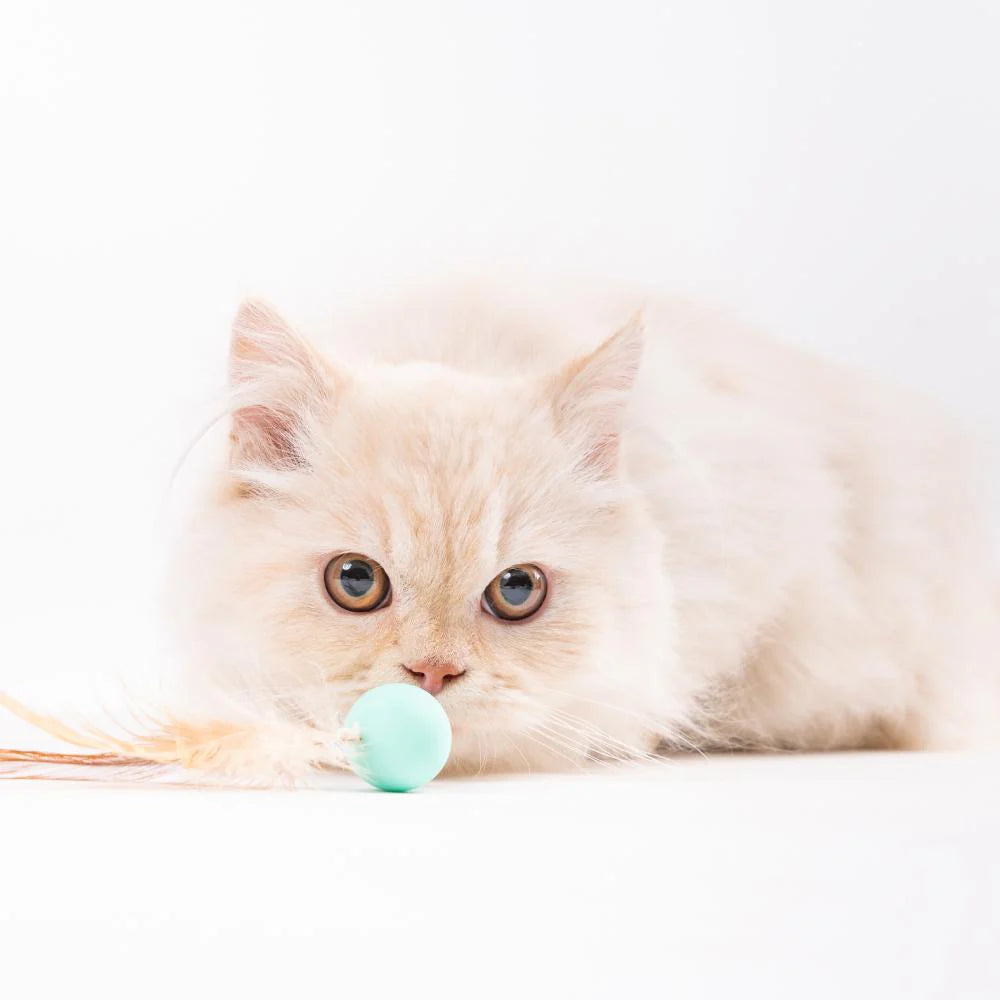 Pidan Bouncy Balls For Cats 3pcs