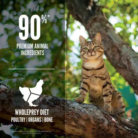 ORIJEN Guardian 8 Cat Food