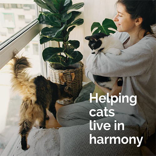 Vetality Harmony Pet Calming Spray for Cats 1.62oz