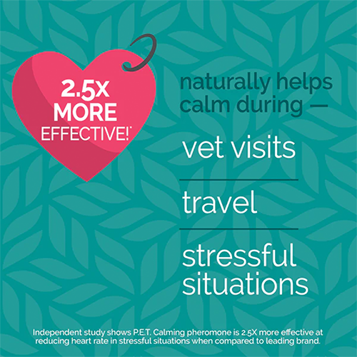 Vetality Harmony Pet Calming Spray for Dogs 1.62oz