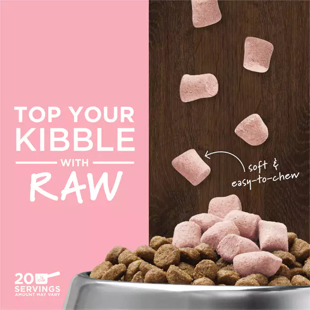 Instinct Raw Boost Mixers Dog Food Topper Skin & Coat Health Recipe 156g