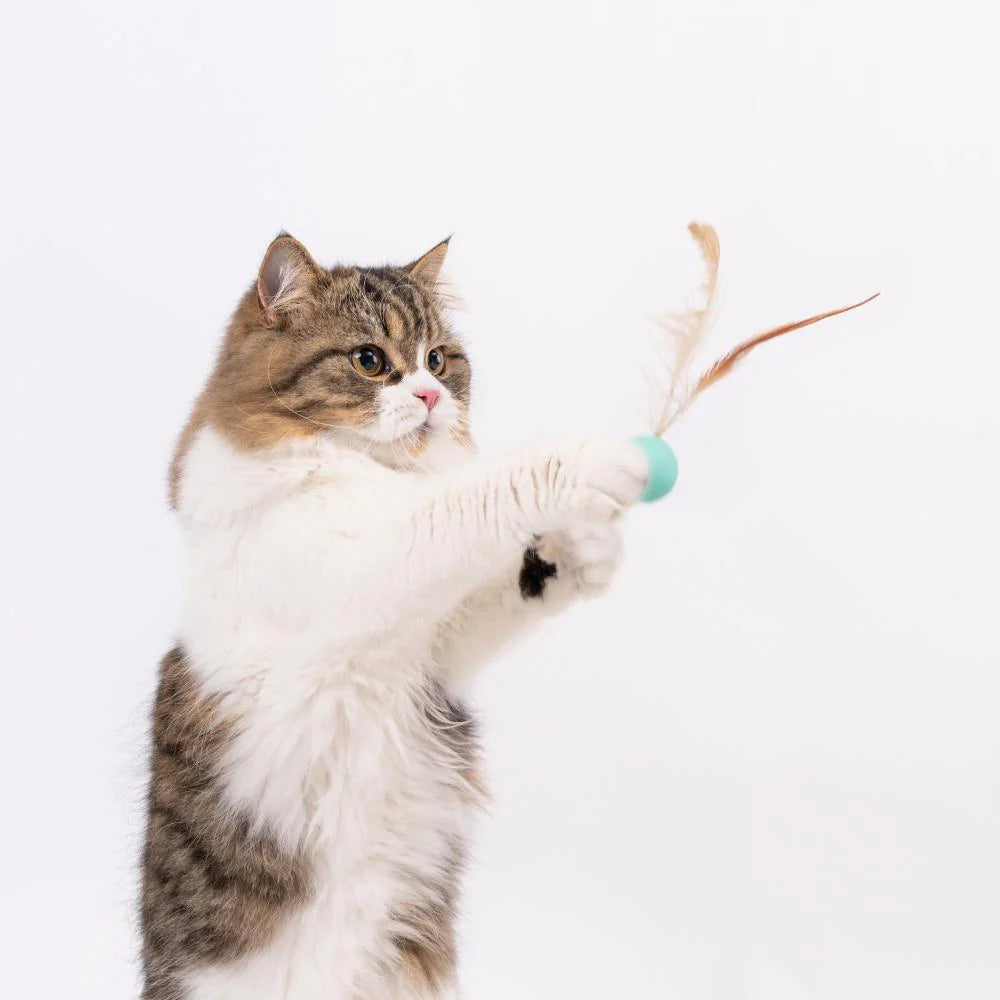 Pidan Bouncy Balls For Cats 3pcs