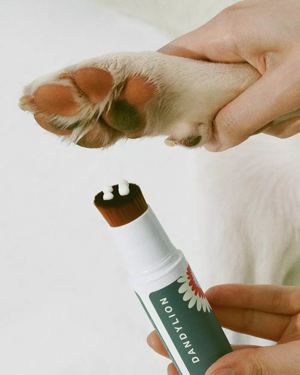 Dandylion Soft Paws 20mL