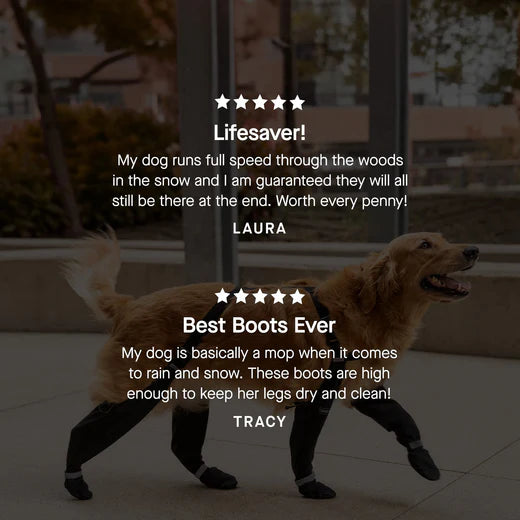 Canada Pooch Suspender Boots Black