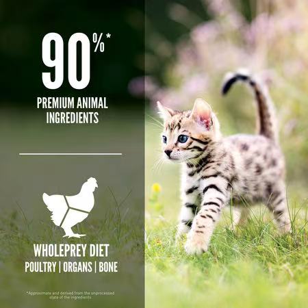 ORIJEN Kitten Formula Cat Food