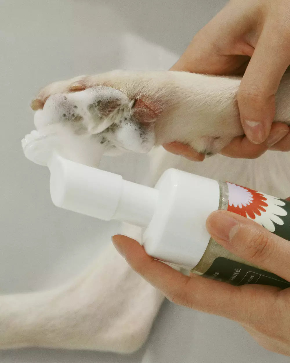 Dandylion Clean Paws 150mL