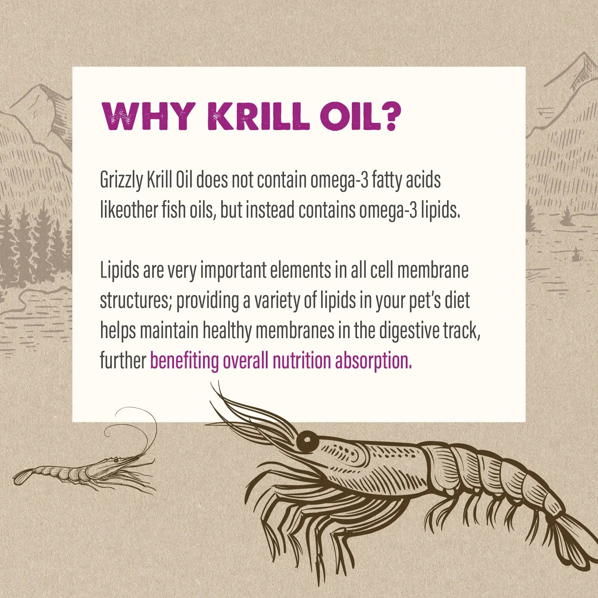 Grizzly Pet Wild Antarctic Krill Oil Supplement for Pets 8oz
