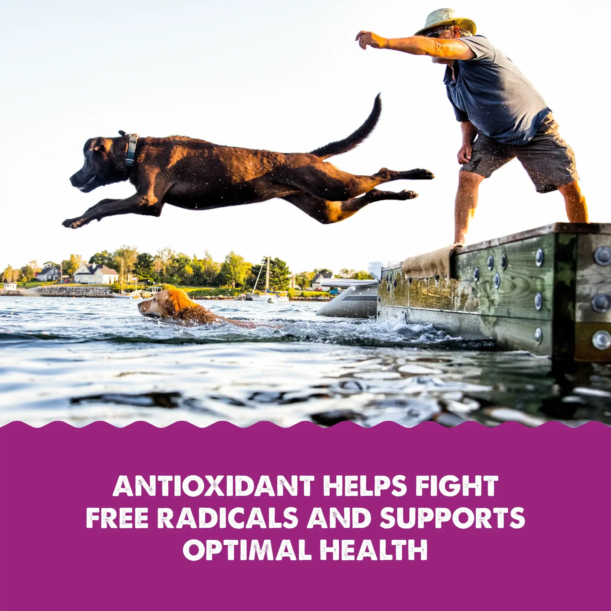 Grizzly Pet Wild Antarctic Krill Oil Supplement for Pets 8oz