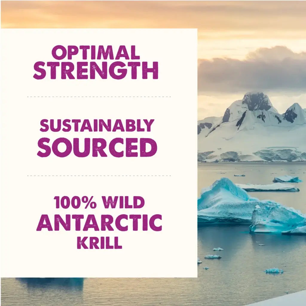 Grizzly Pet Wild Antarctic Krill Oil Supplement for Pets 8oz