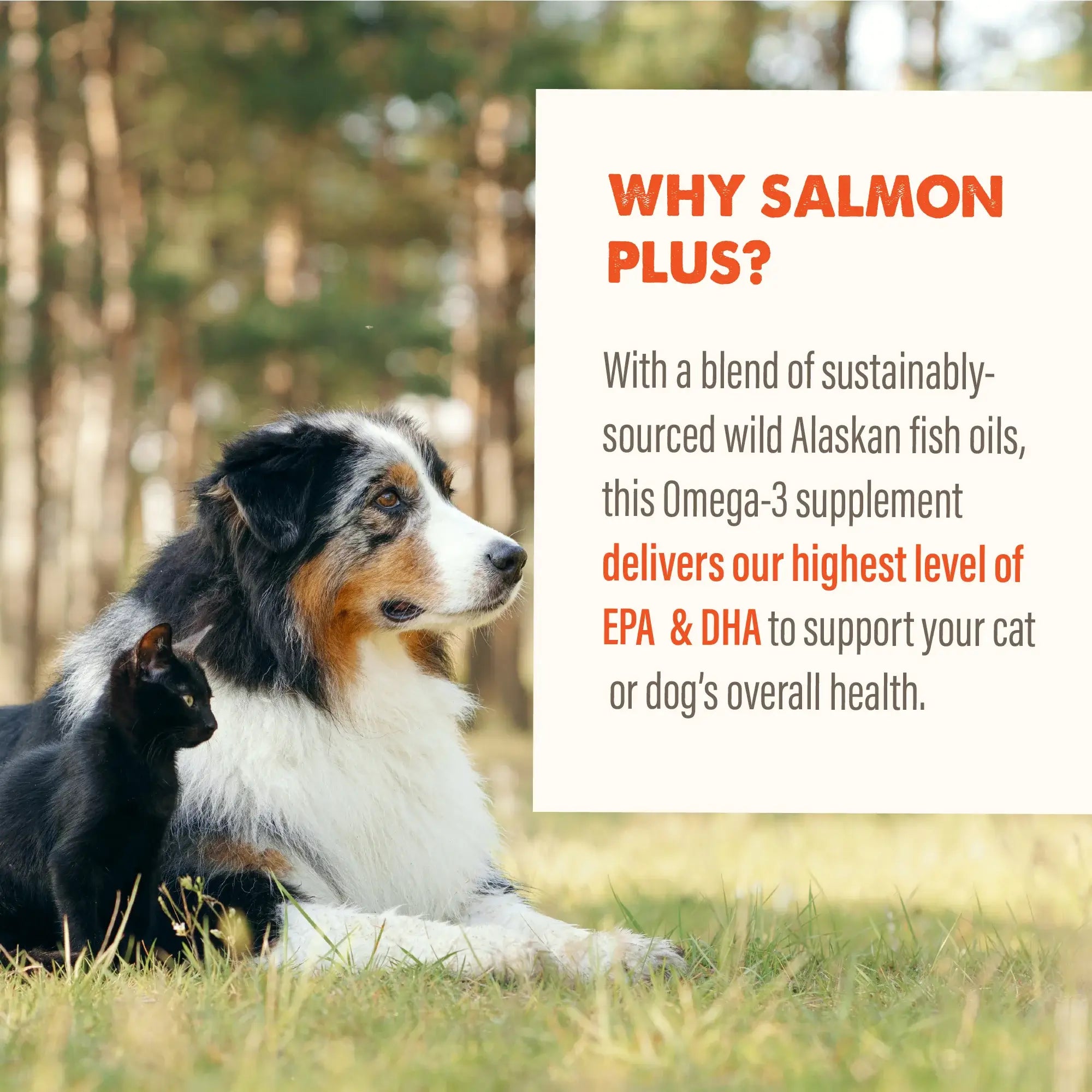 Grizzly Pet Products Salmon Plus Supplement