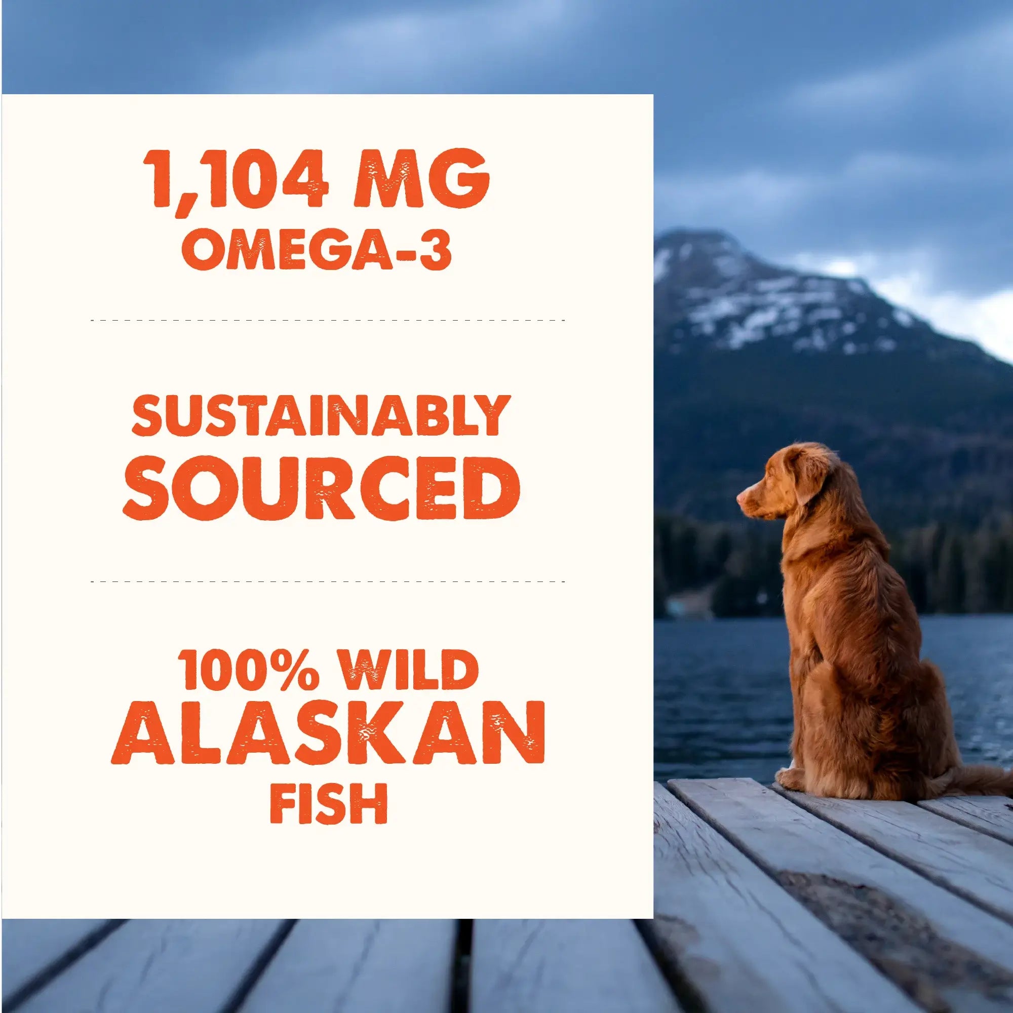 Grizzly Pet Products Salmon Plus Supplement