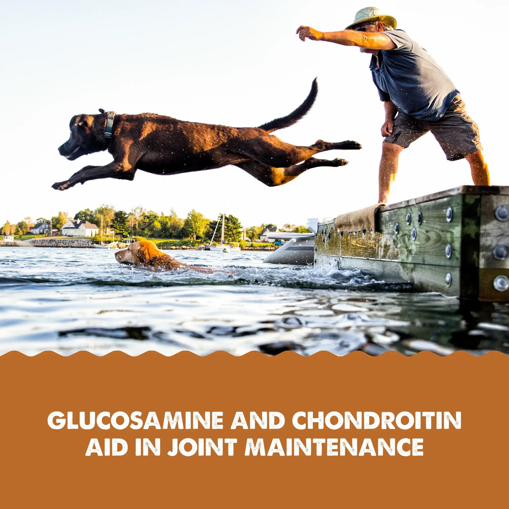 Grizzly Pet Products Hip & Joint Aid Liquid Supplement 16oz