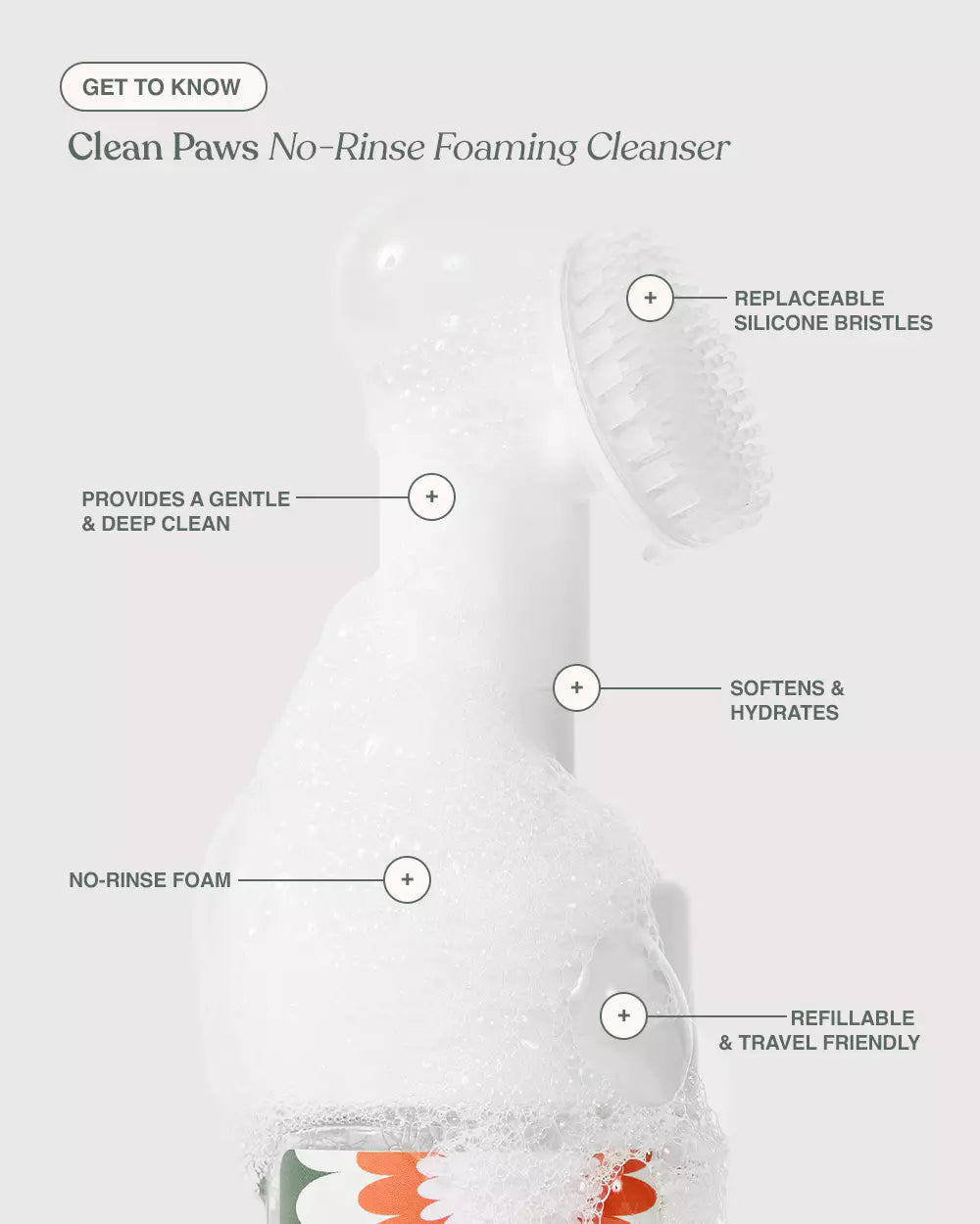 Dandylion Clean Paws 150mL