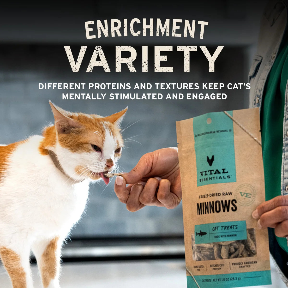 Vital Essentials® 冻干鸡心猫零食 0.8盎司