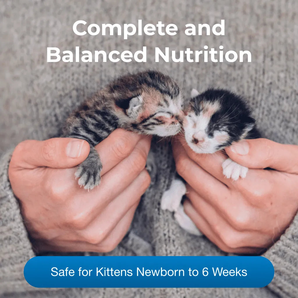 PetAg® KMR® Kitten Milk Replacer Powder 6 oz