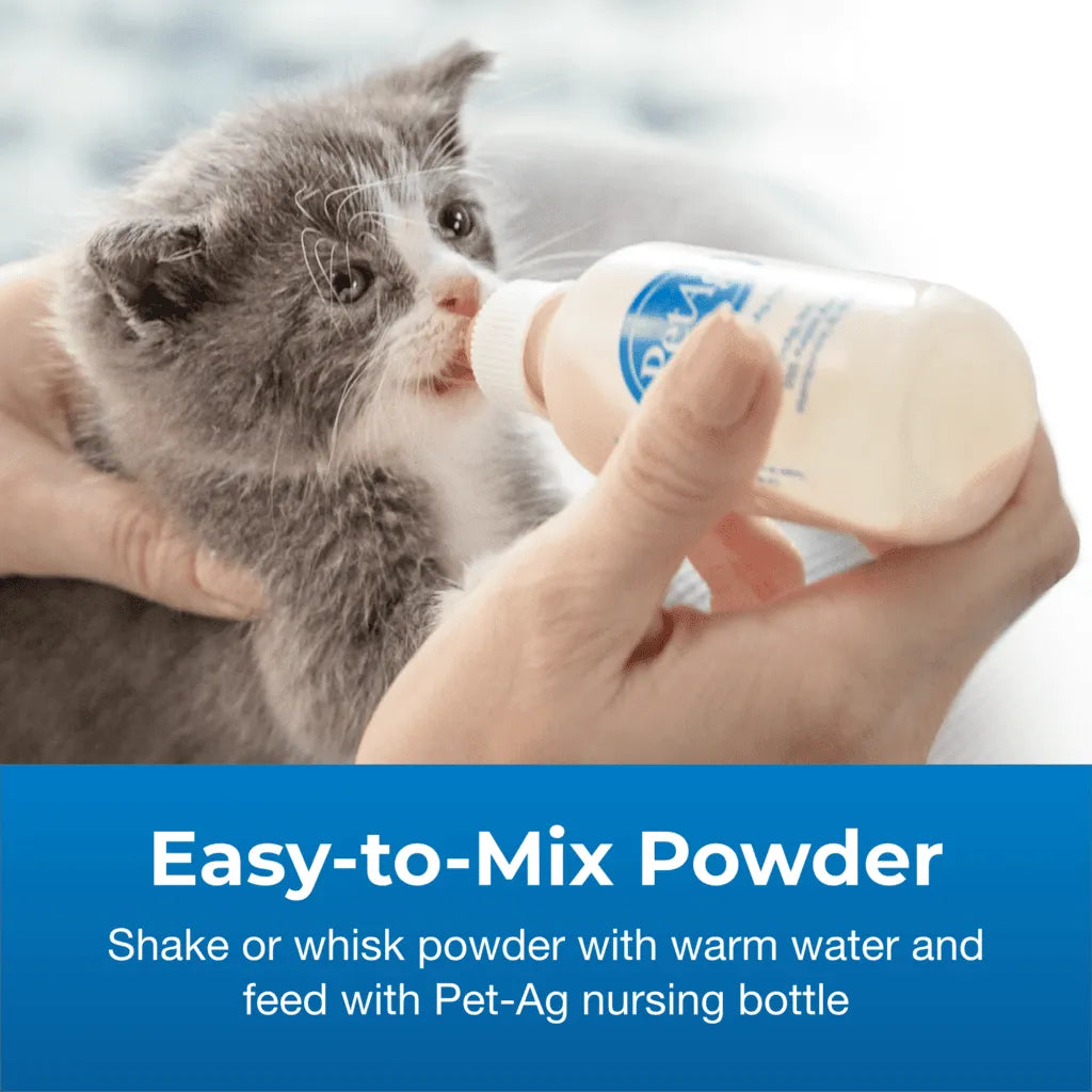 PetAg® KMR® Kitten Milk Replacer Powder 6 oz
