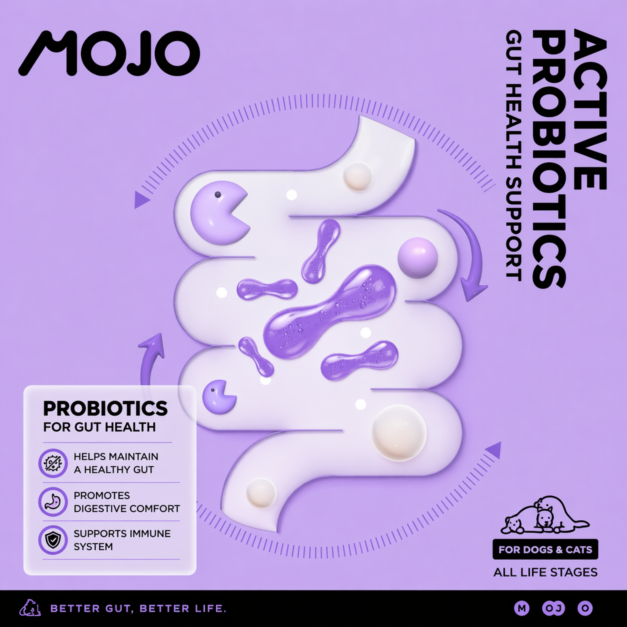 Mojo益生菌昆虫蛋白冻干零食