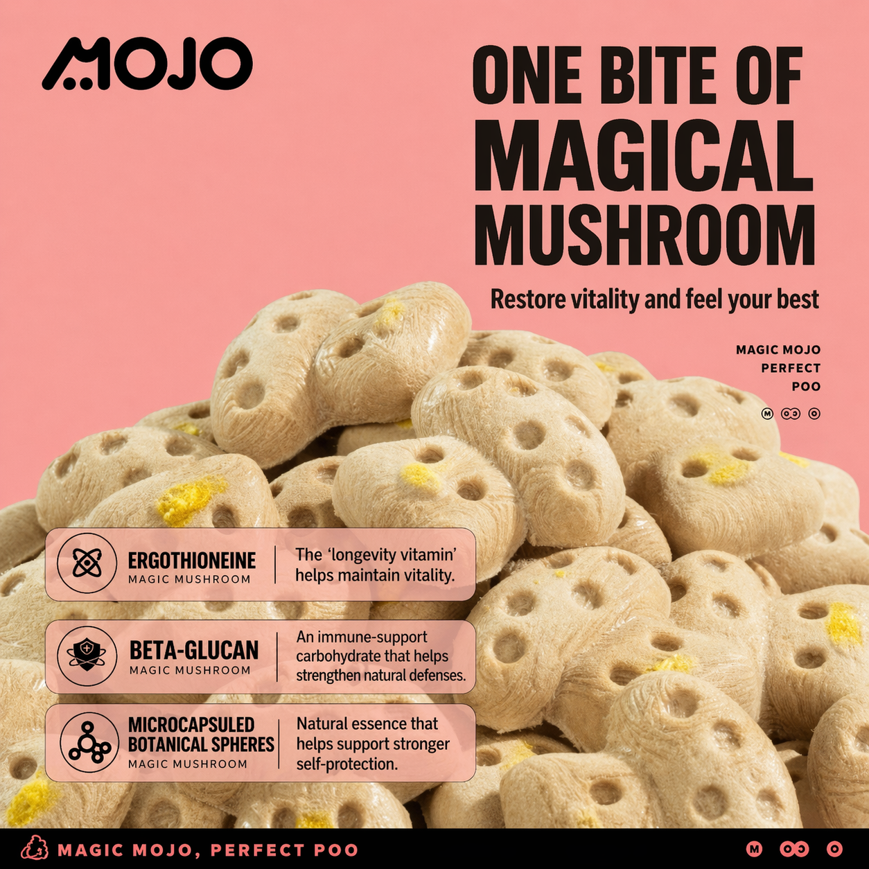 Mojo Immune 魔菇冻干零食