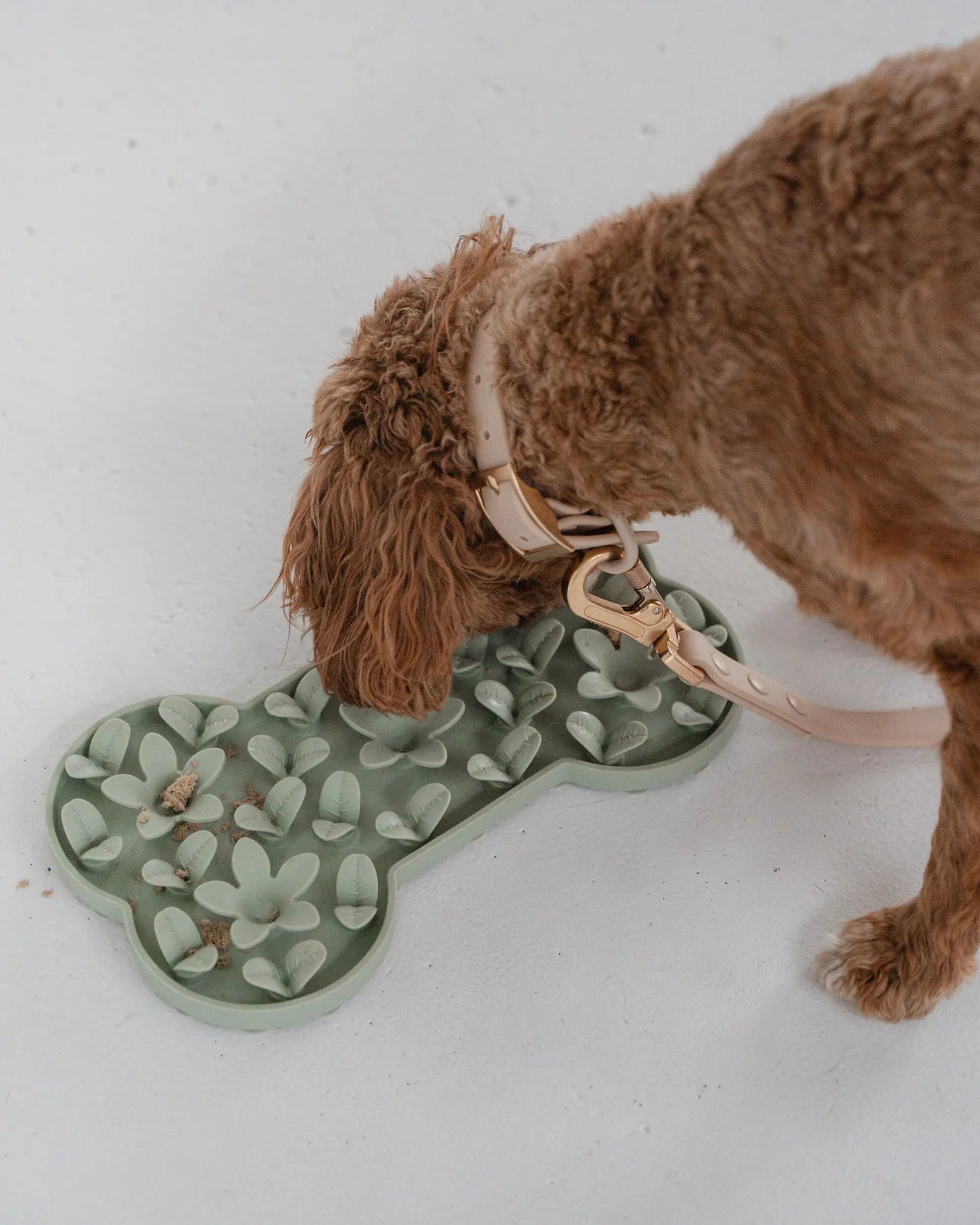 Dexypaws Silicone Sage Green Dog Bone Enrichment Snuffle Mat