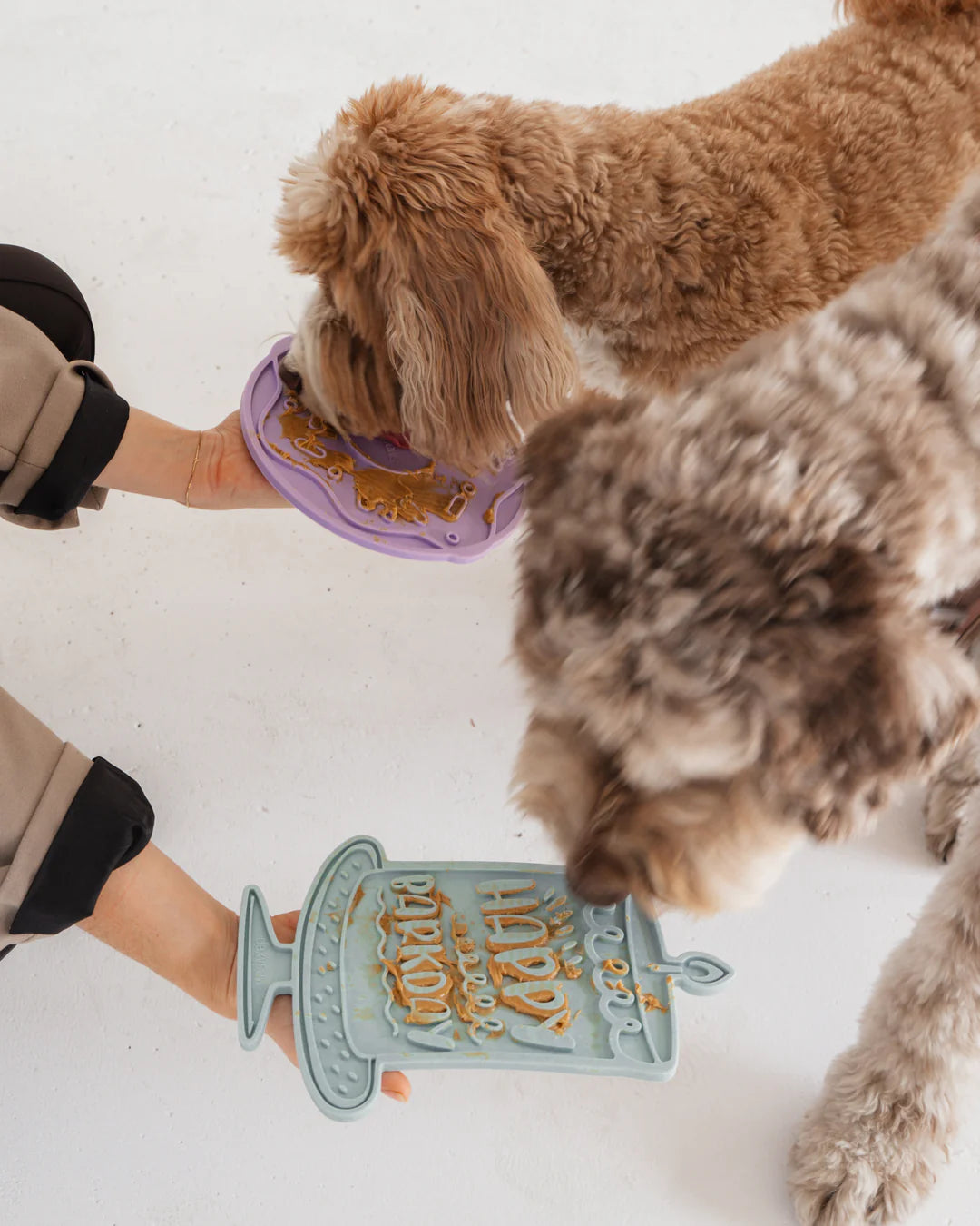 Dexypaws 狗狗生日快乐舔食垫