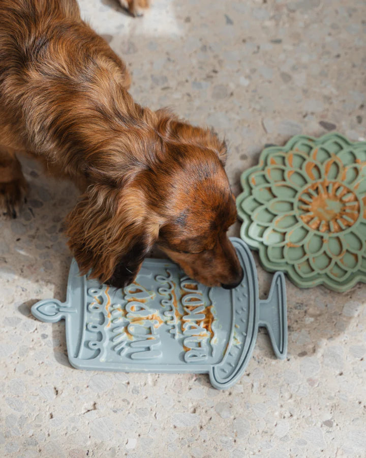 Dexypaws Happy Bark-day Enrichment Licking Mat