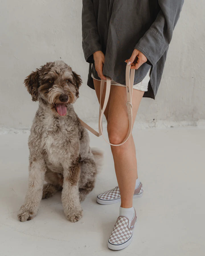 Dexypaws Waterproof Dog Leash