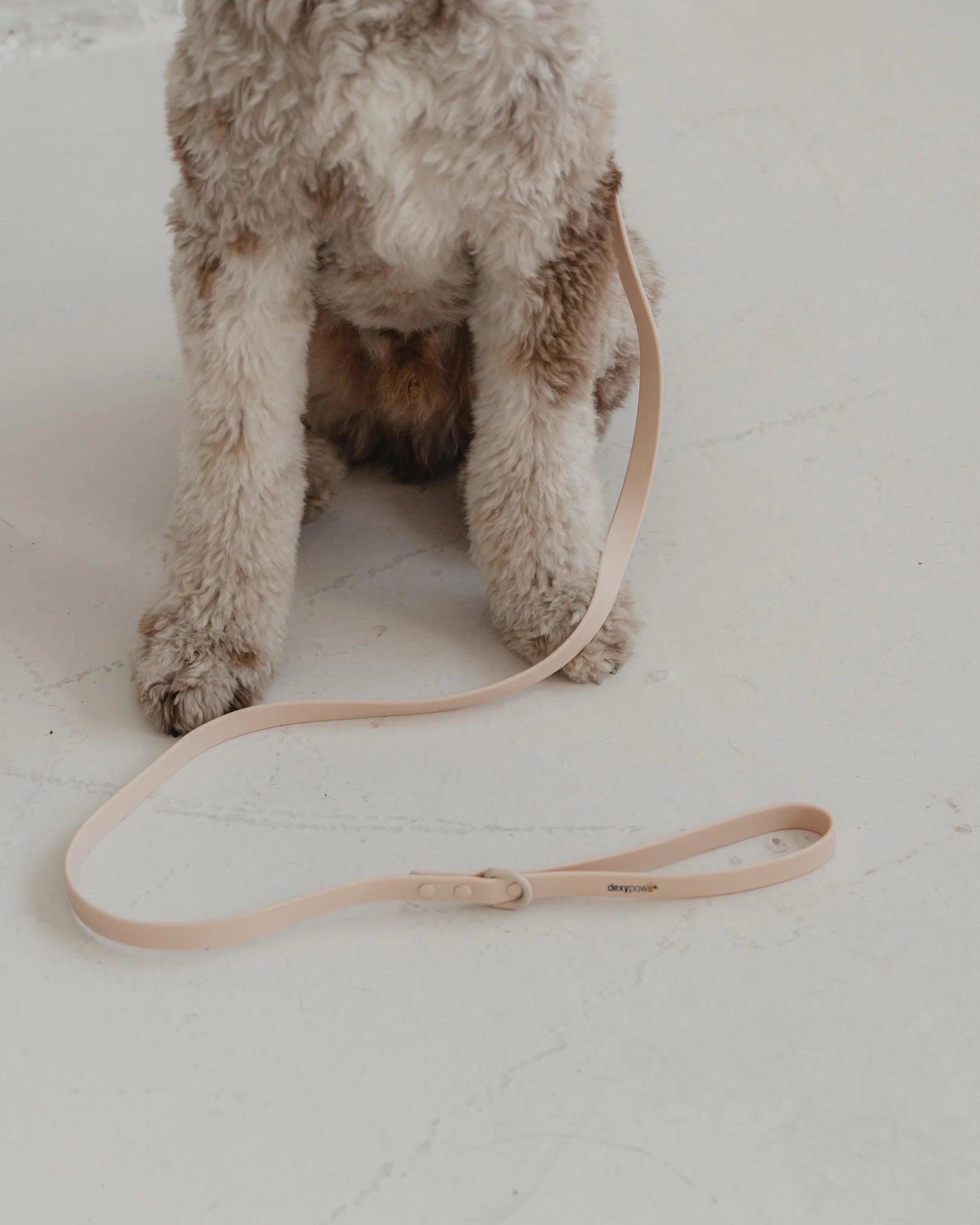 Dexypaws Waterproof Dog Leash
