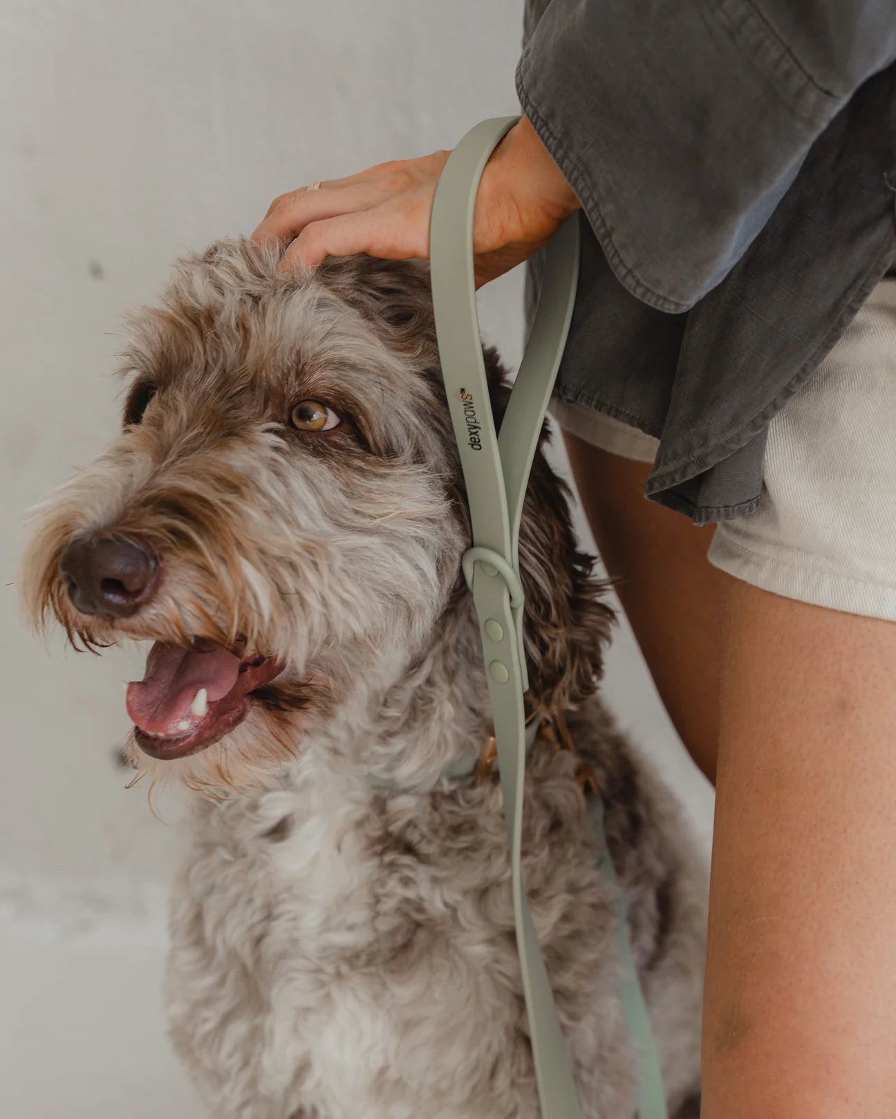 Dexypaws Waterproof Dog Leash