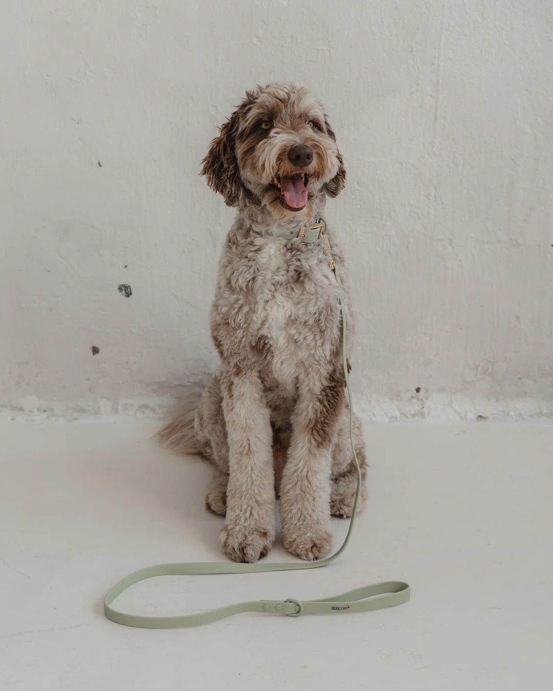 Dexypaws Waterproof Dog Leash