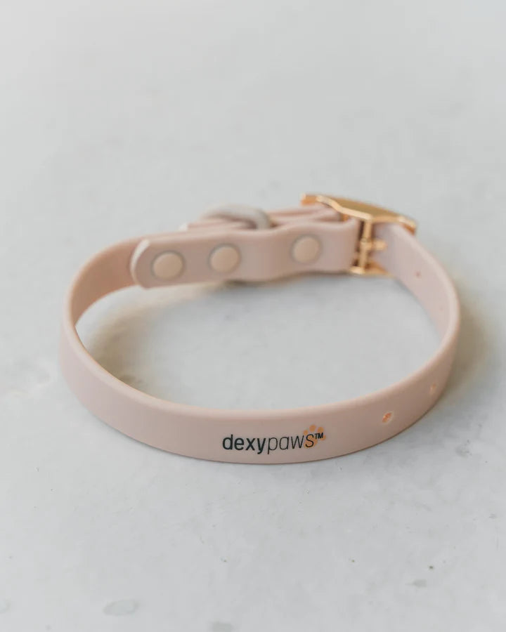 Dexypaws Waterproof Dog Collar