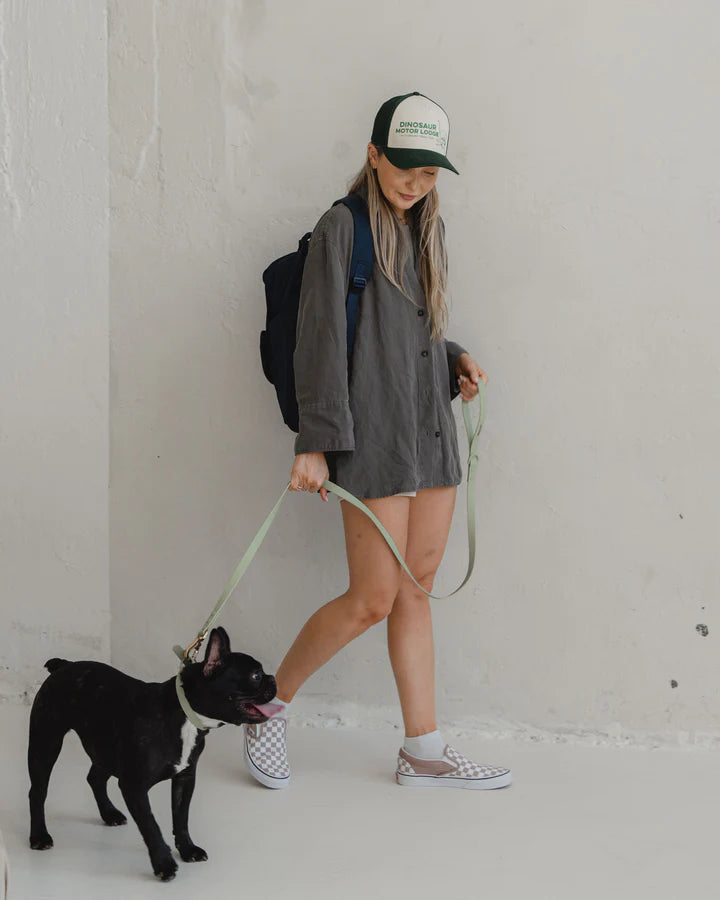 Dexypaws Waterproof Dog Leash