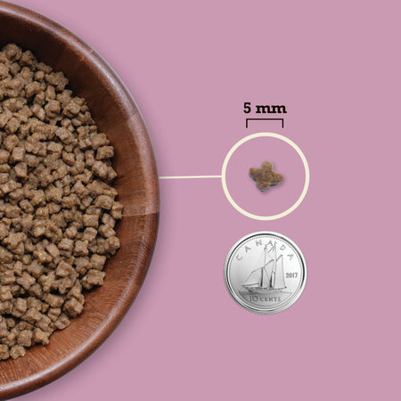 ACANA Highest Protein Kitten Cat Food1.8kg