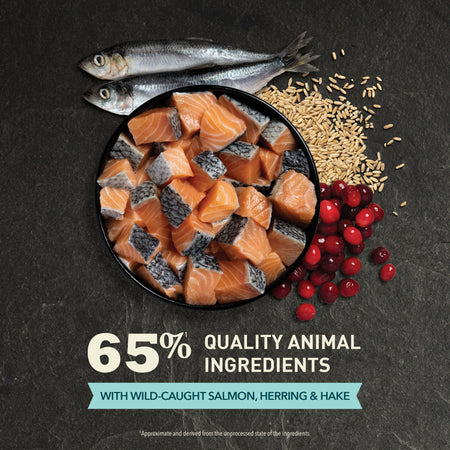 ACANA Bountiful Catch Cat Food
