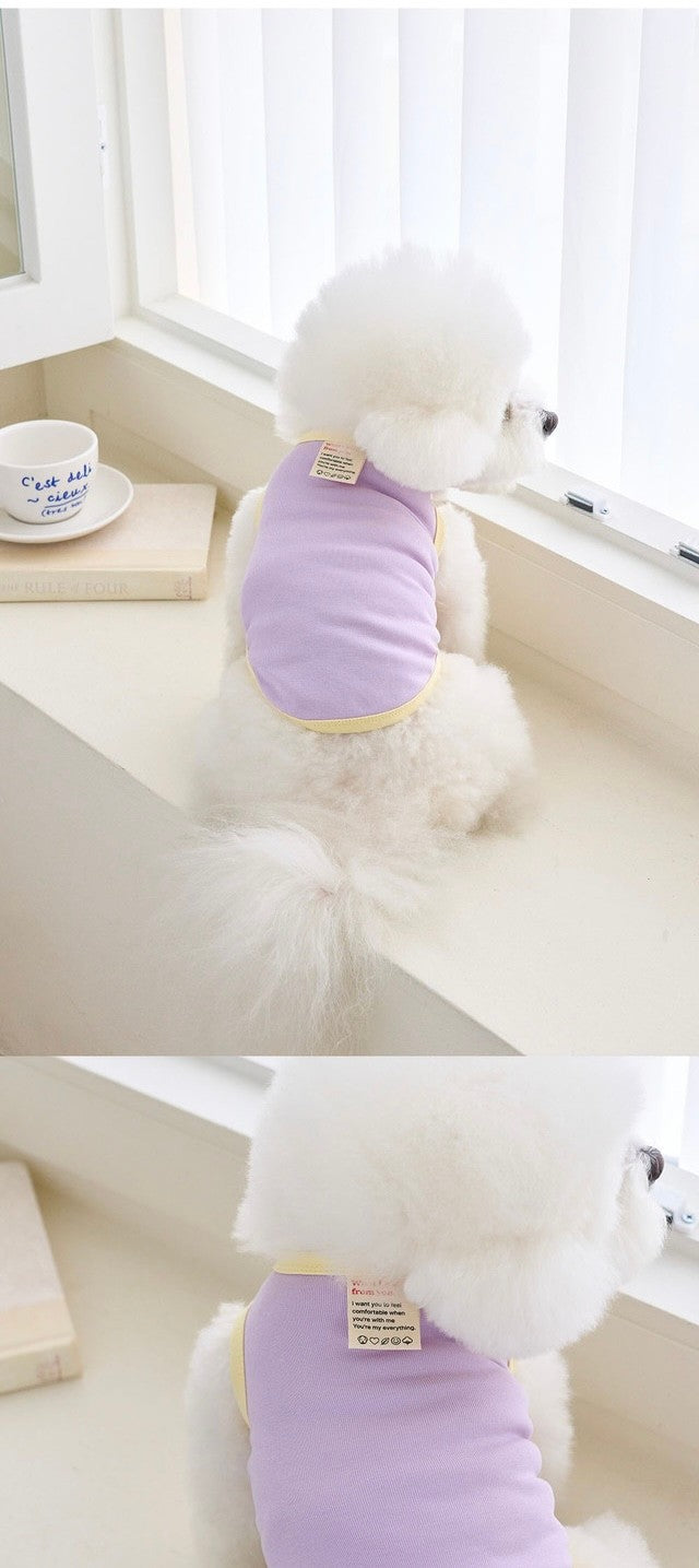 NOUTTI紫色宠物衣服