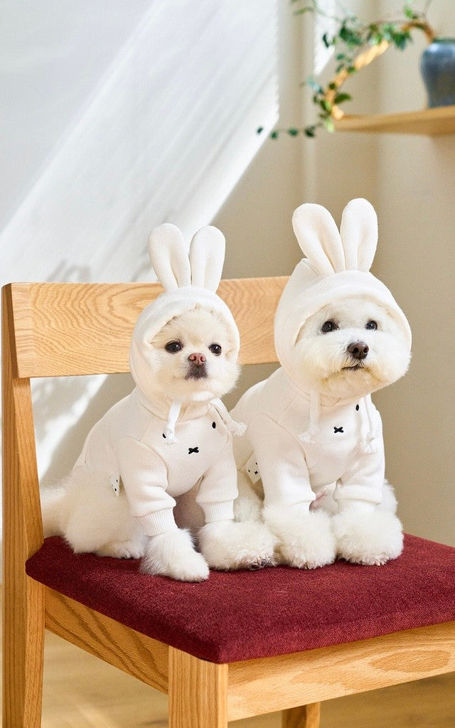 NOUTTI X MIFFY 白色连帽衫