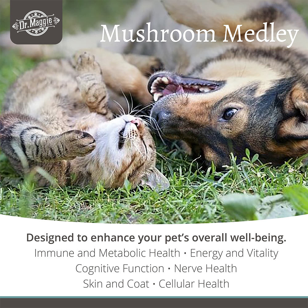 NaturPet® 玛姬博士宠物有机混合蘑菇粉（猫狗适用）88克