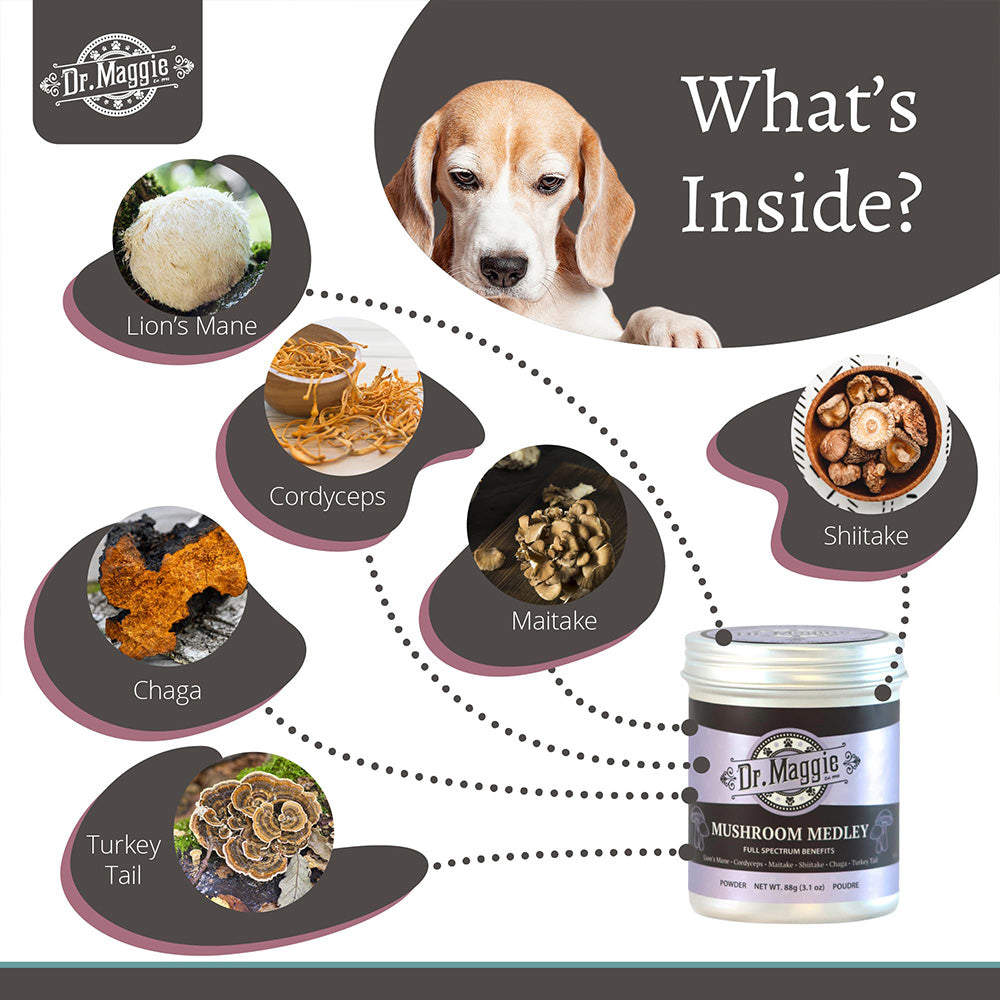 NaturPet Dr. Maggie Organic Mushroom Medley for Cats & Dogs 88g
