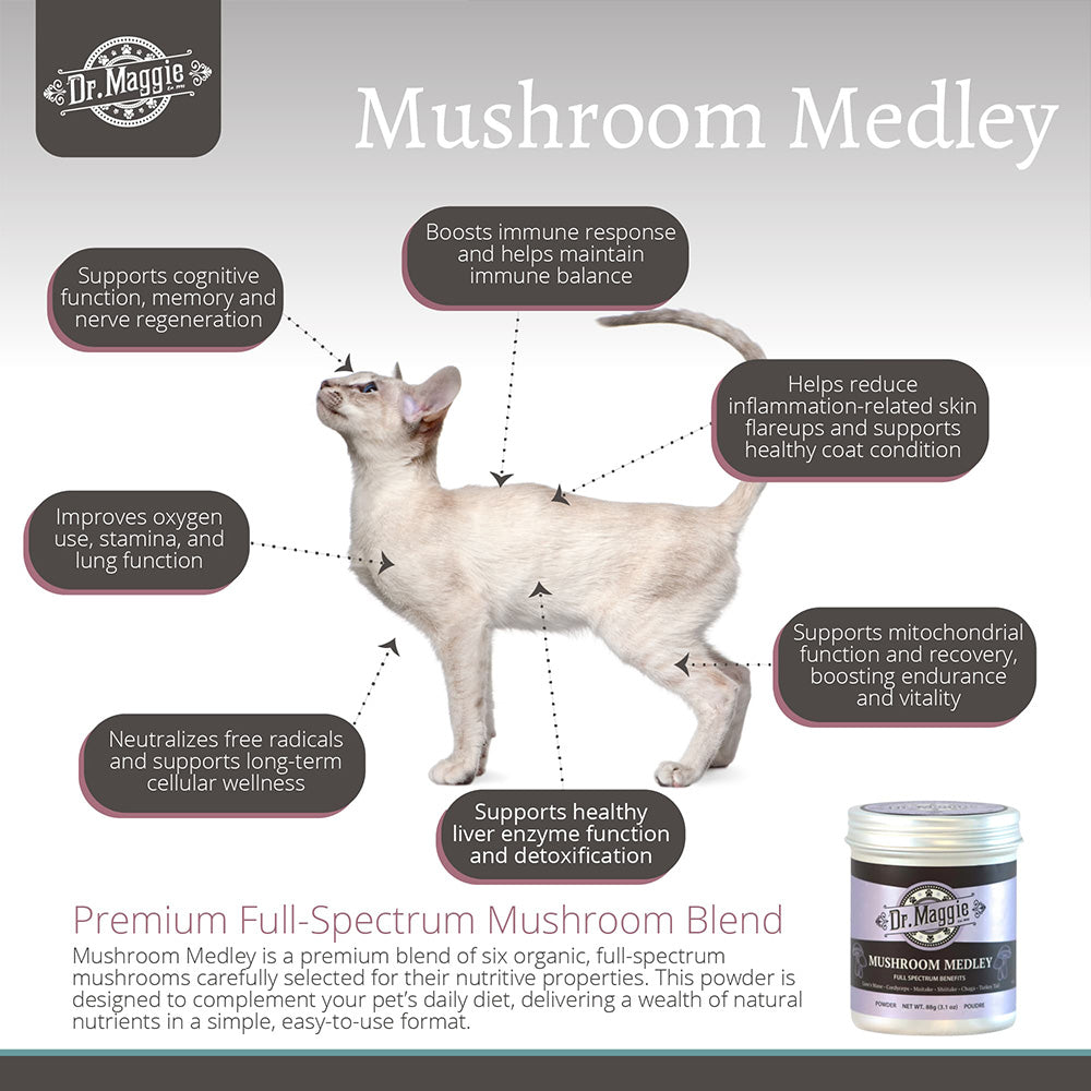 NaturPet Dr. Maggie Organic Mushroom Medley for Cats & Dogs 88g