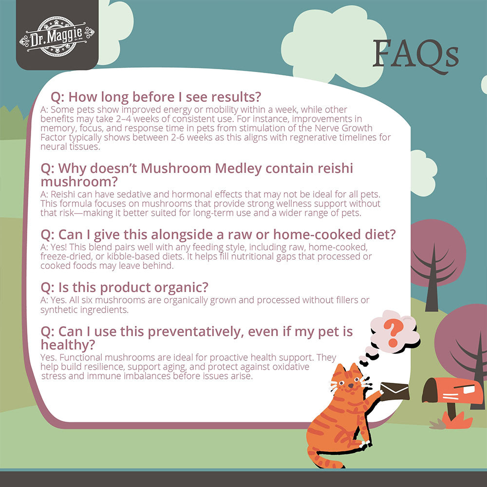 NaturPet Dr. Maggie Organic Mushroom Medley for Cats & Dogs 88g