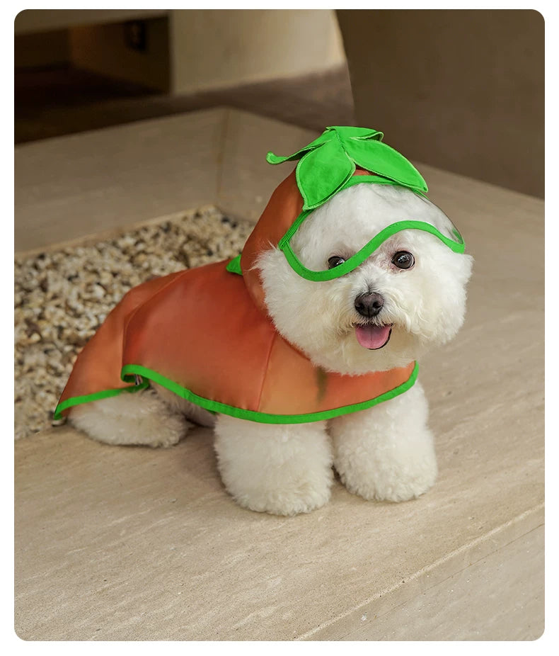 Touchdog狗狗雨衣（透明）