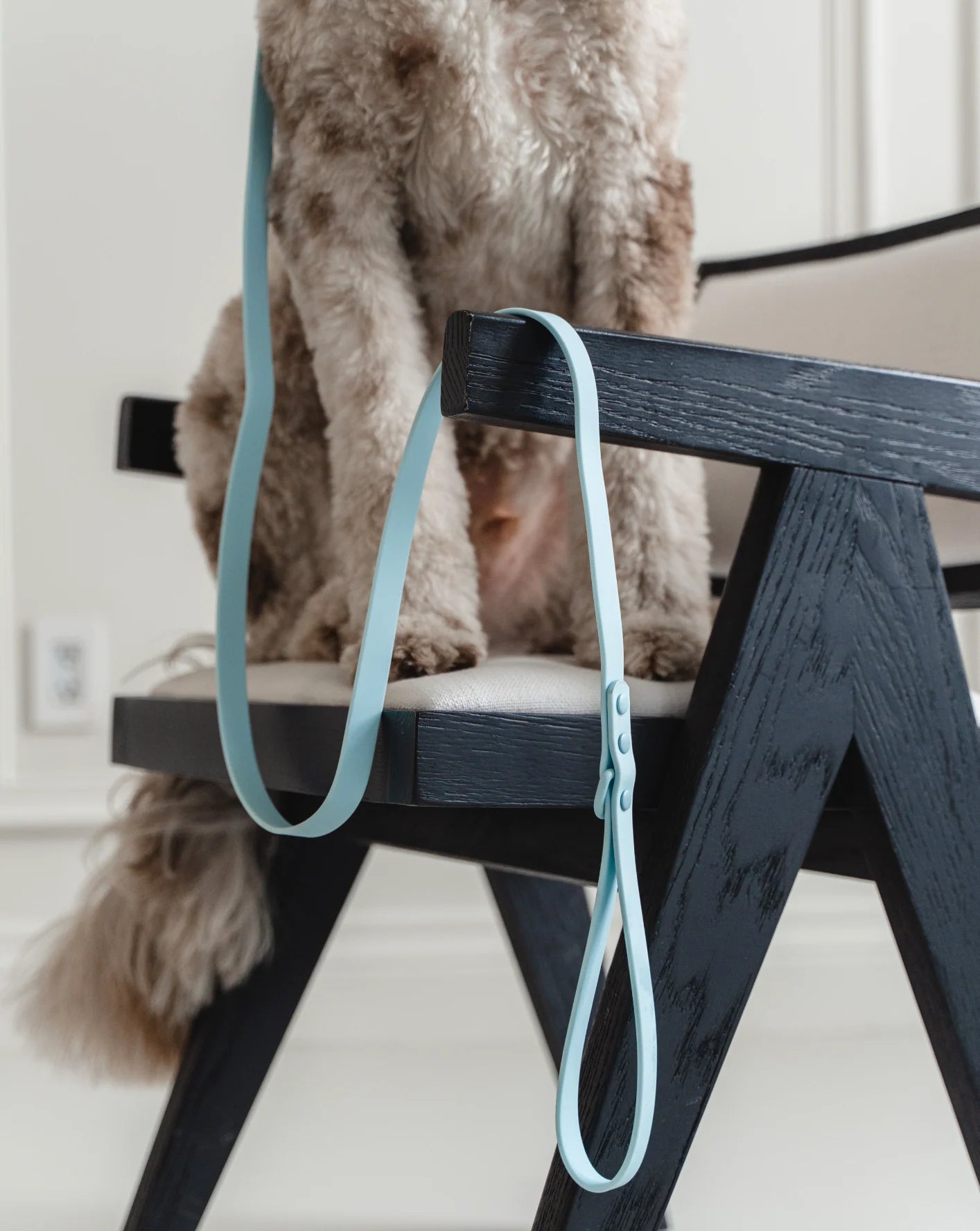 Dexypaws Waterproof Dog Leash