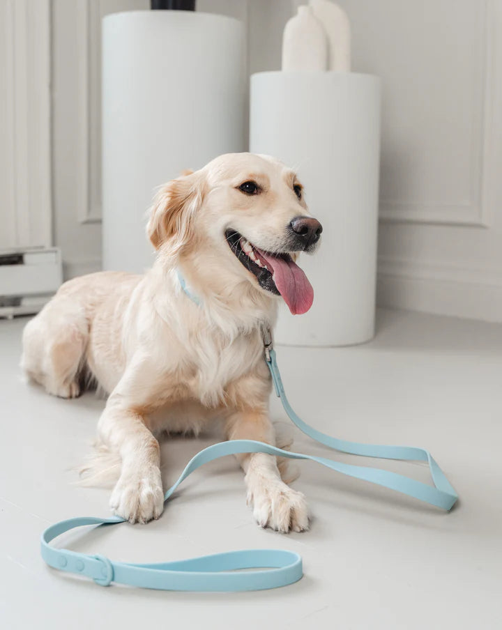 Dexypaws Waterproof Dog Leash