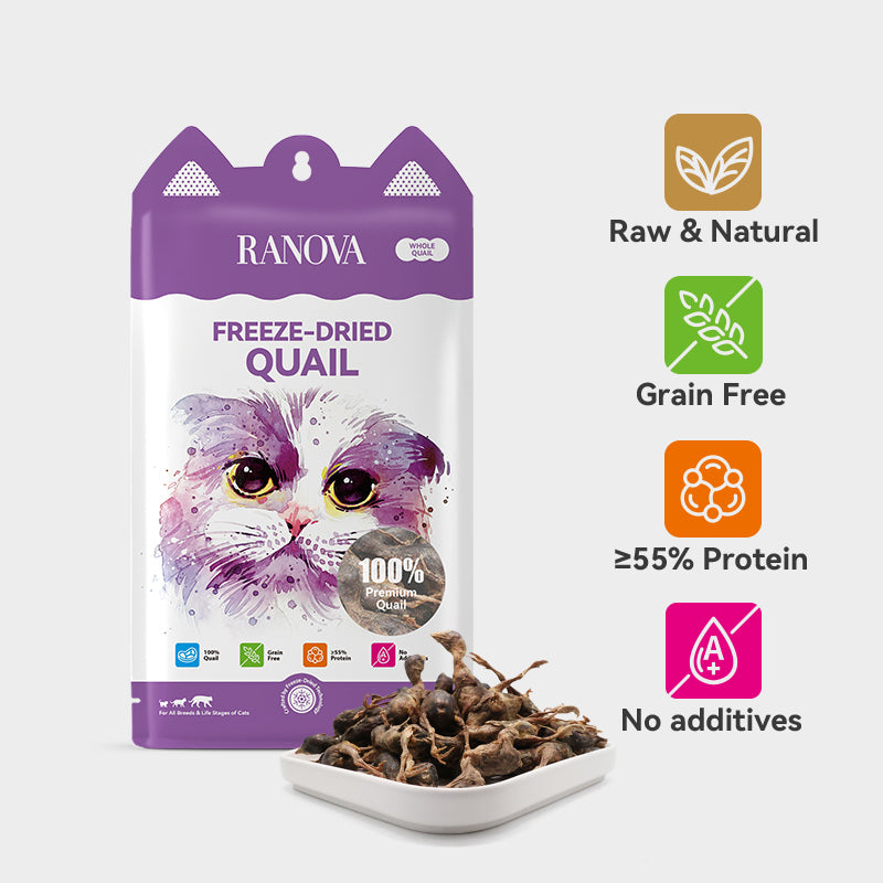Ranova Whole Quail Dog & Cat Freeze-Dried Treat 540g
