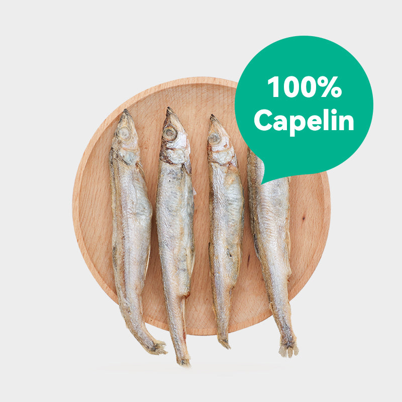 Ranova Capelin Dog & Cat Freeze-Dried Treats 50g